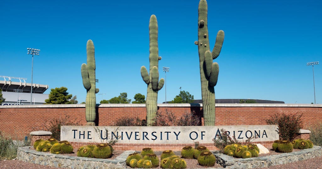 University of Arizona professor shot and killed on campus, suspect in custody