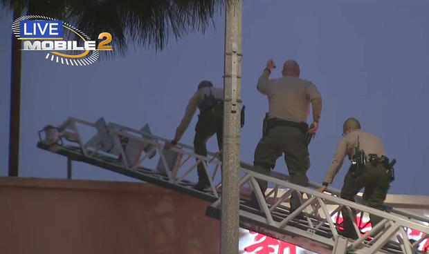 deputies-ladder-rosemead-burglary.jpg 