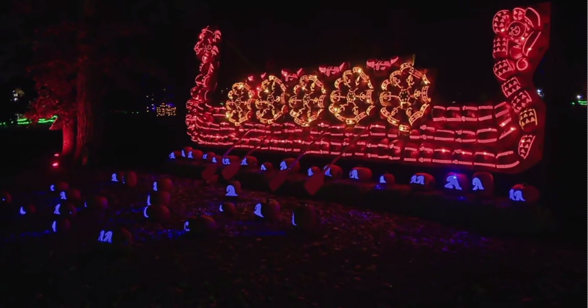 Pumpkincarving craftsmanship on display at Jack O' Lantern World in Lake Zurich CBS Chicago