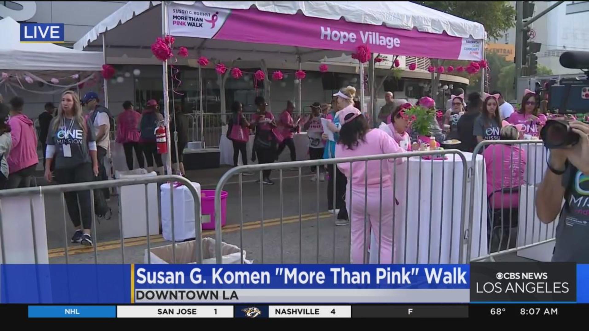 Komen More Than Pink Walk