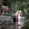 US-WEATHER-HURRICANE-IAN 