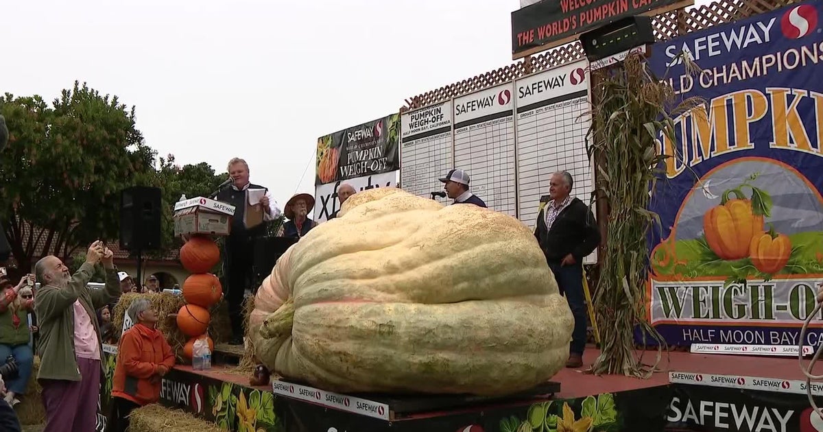 Raw Video Minnesota man wins annual Half Moon Bay pumpkin weighoff