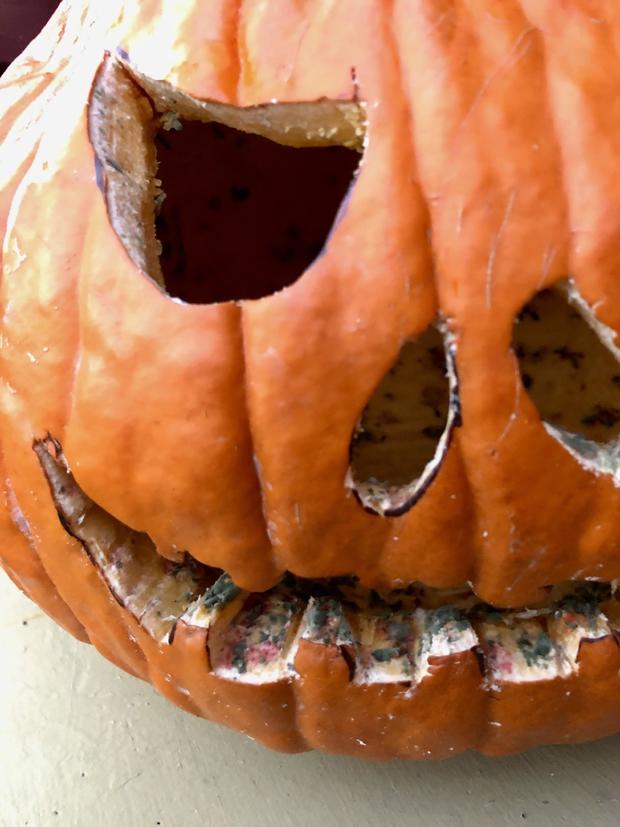 mold on a carved pumpkin 