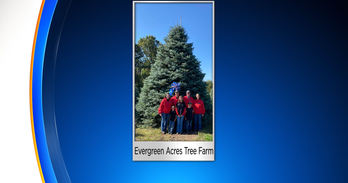 White House to feature Christmas tree from Pennsylvania farm for 2022