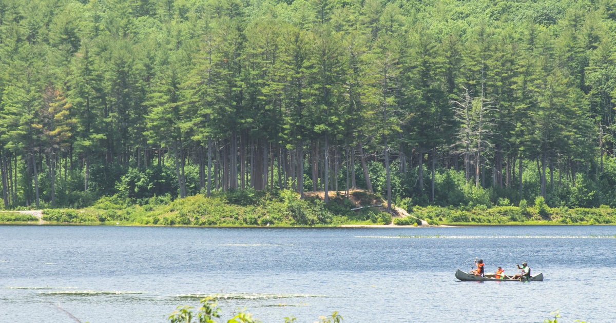 Teen climber dies after falling off cliff at New Hampshire state park
