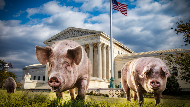 supreme court and pork 