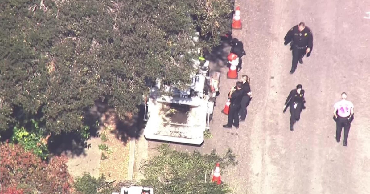 Treetrimmer killed in Menlo Park wood chipper accident Flipboard