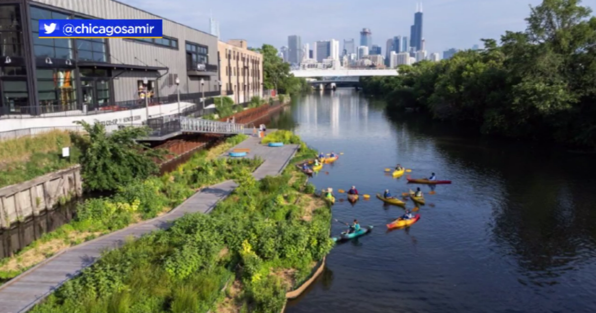 Wild Mile, Chicago's first floating eco-park, opens near Goose Island