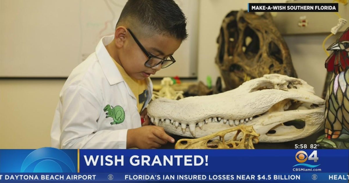 Boy will get desire granted on Countrywide Fossil Working day