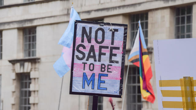 A protester holds a placard with the colours of the trans pride flag 