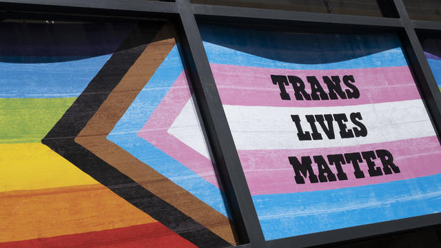 Progress And Transgender Pride Flag In London 