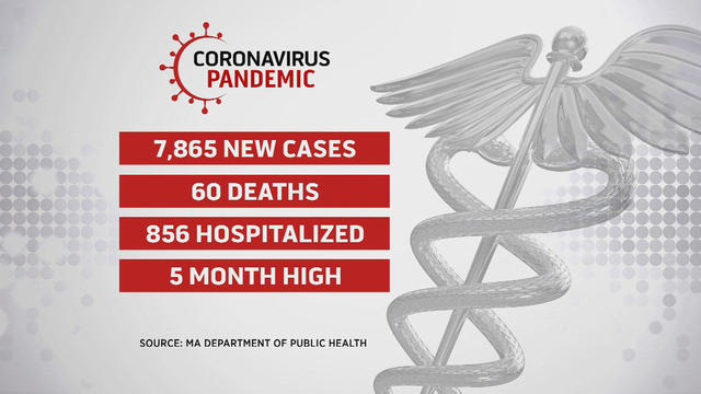 coronavirus numbers 