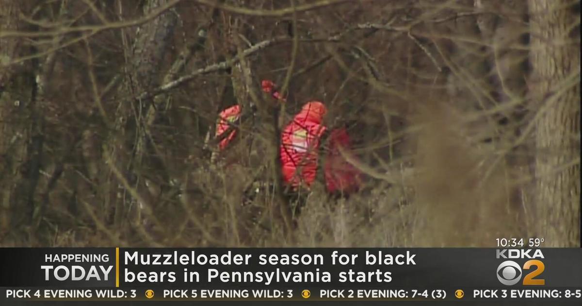 Muzzleloader season for black bears begins in Pa. CBS Pittsburgh