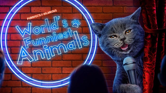 worlds-funniest-animals-s3.jpg