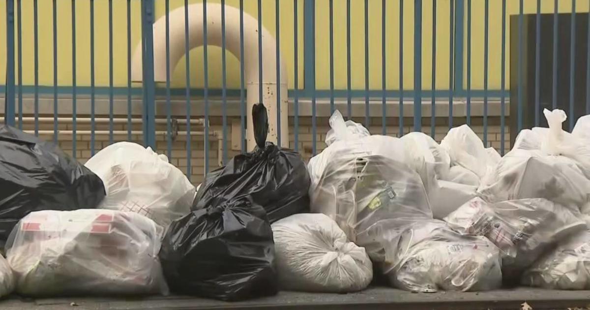 As giant trash bins come to NYC, will the city's garbage heaps become a  thing of the past?, WNYC News