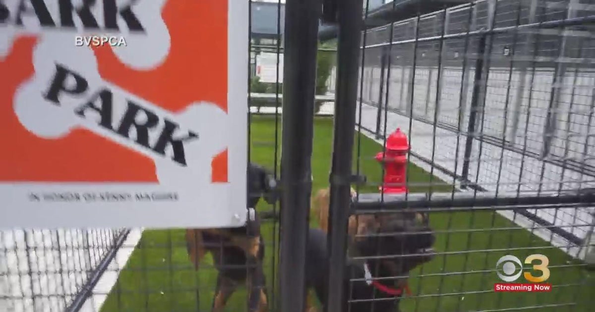 Brandywine Valley SPCA to open Copeland Center in Delaware CBS Philadelphia