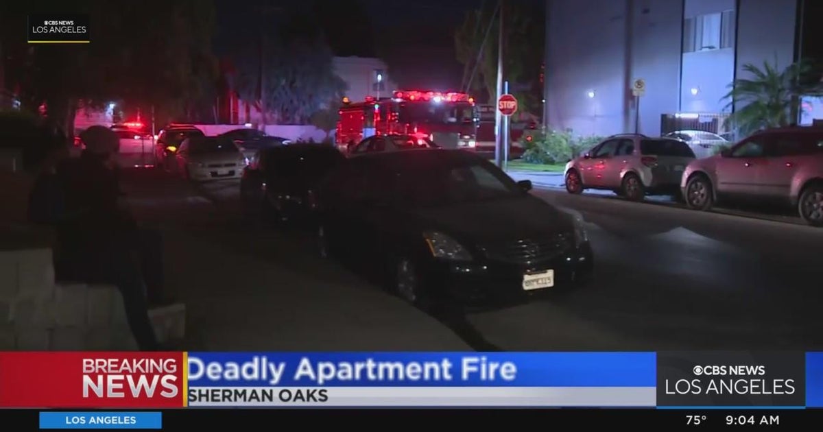 Sherman Oaks apartment fire kills 1 person, dog CBS Los Angeles