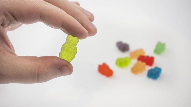 A hand holding a colorful CBD infused medicinal candy gummy 