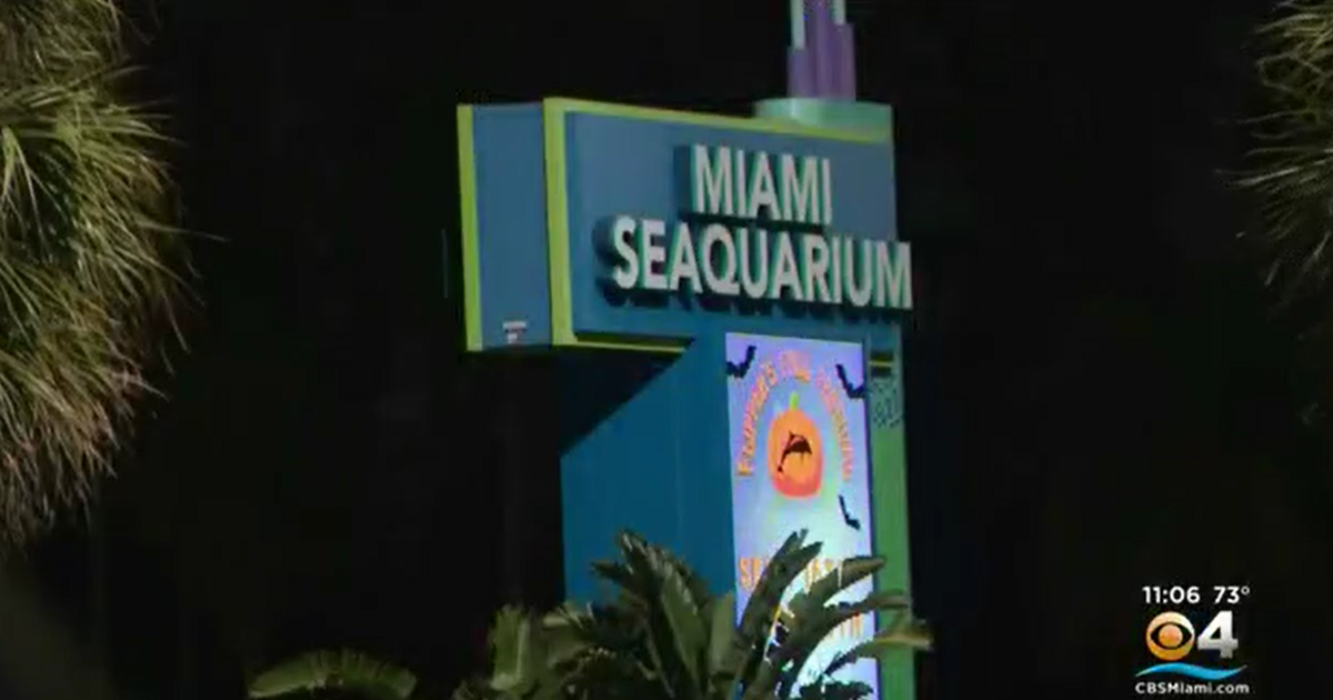 USDA report raises issues about dolphin care at Miami Seaquarium