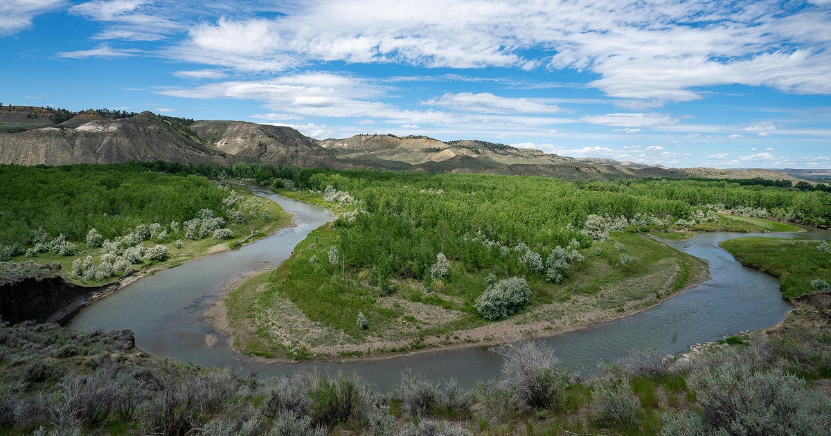 Why American Prairie doesn't plan to lobby Congress for a new national park - Vimarsana News