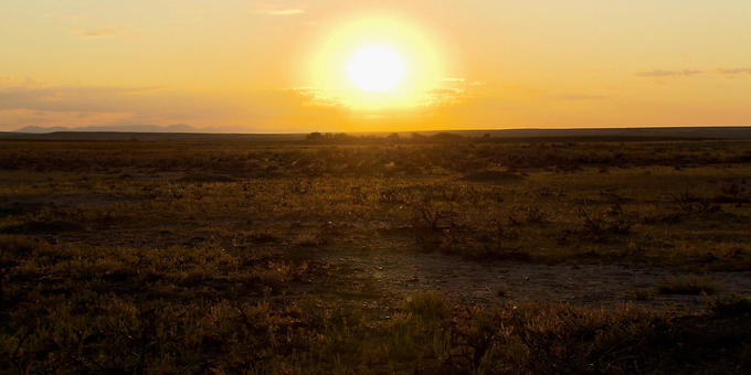 American Prairie: Creating a huge nature reserve in Montana 