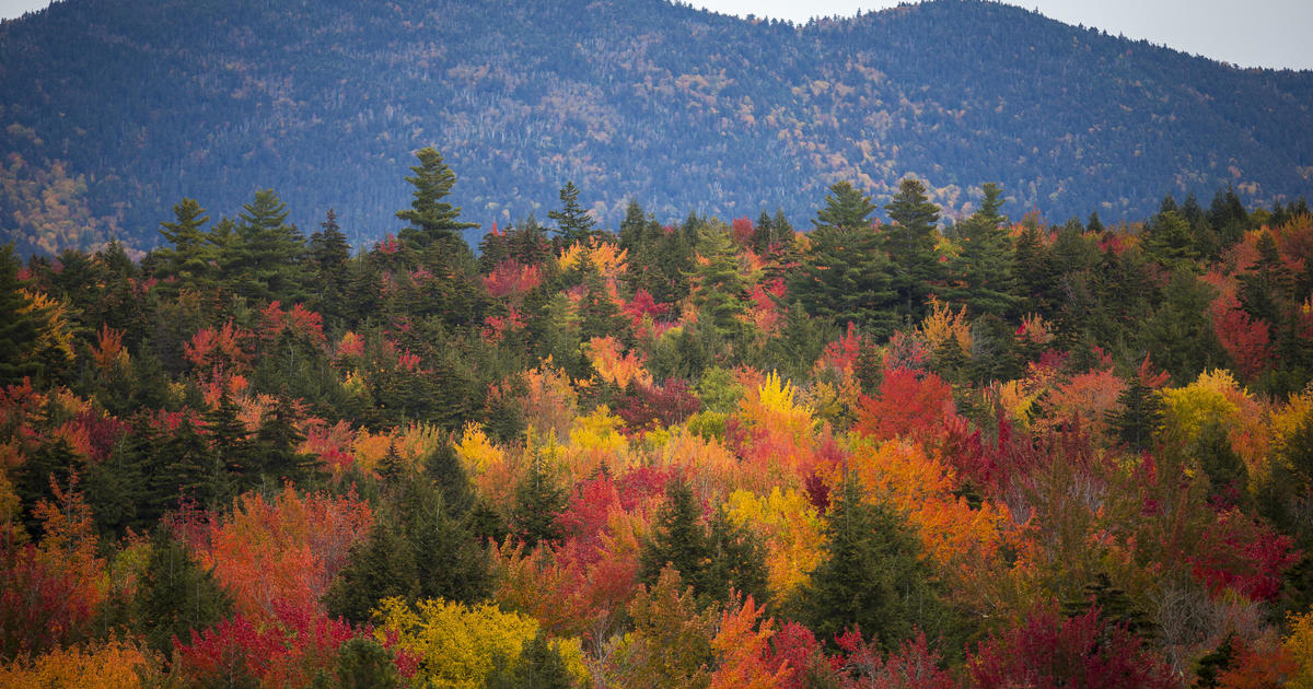 NH moves forward with bill to suspend driver’s licenses of hikers who don’t pay rescue fees