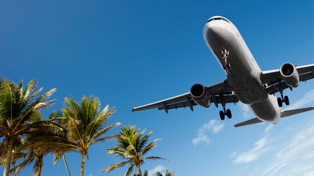 Airliner Landing Passing Over Palm Trees 