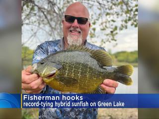 Catching the Elusive Texas Sunfish: Reels for Sunfishing