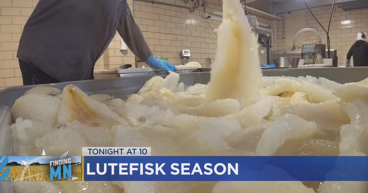Have you tried lutefisk? Would you ever? CBS Minnesota
