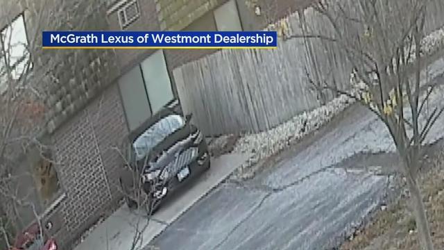 Westmont deer crashes through window 