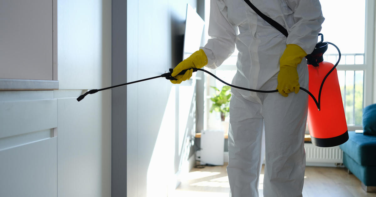 How much does pest control cost?