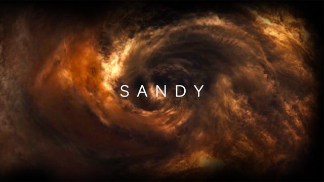 sandy-logo.jpg