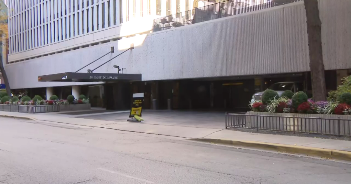 Group robs valet at Streeterville parking garage, steals four cars