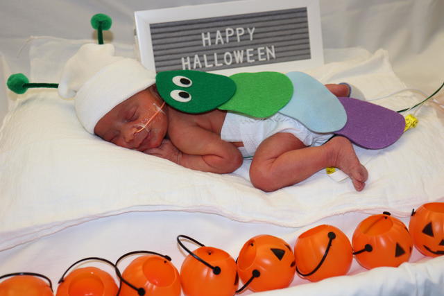 USA Today  These tiny babies in tiny costumes in NICU will melt your heart  — Schaumburg Photography