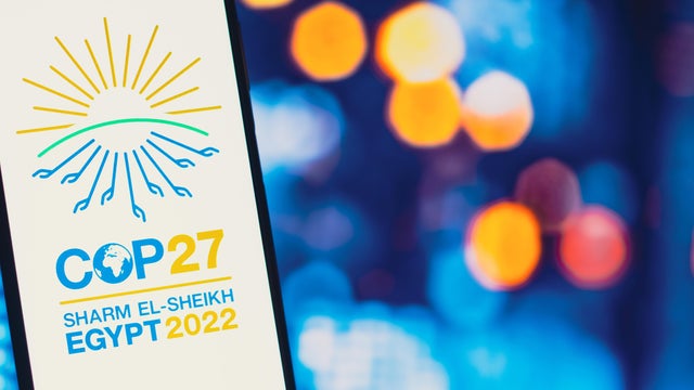What is the COP27 U.N. climate conference all about and why does it matter?