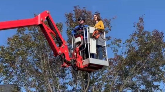tree-trimming-2022.jpg