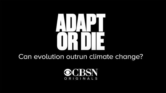 cbsn-originals-adaptordie-1435929-640x360.jpg 