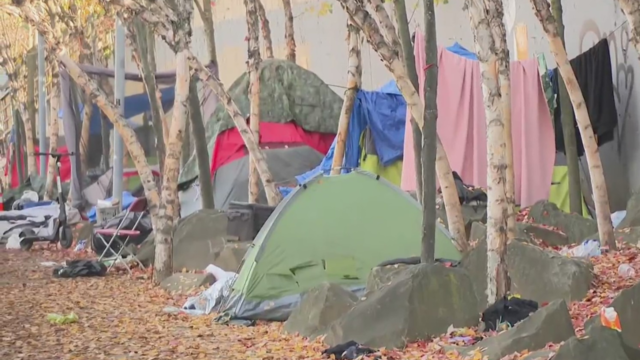 kdka-allegheny-river-trail-pittsburgh-homeless-encampment.png 