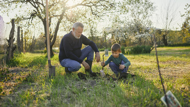 Grandfather looking at grandson planting tree while crouching at garden 