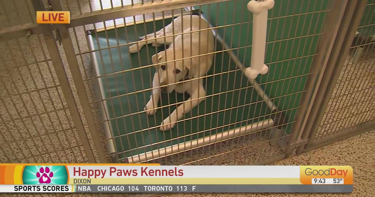 Happy Paws Kennels Good Day Sacramento