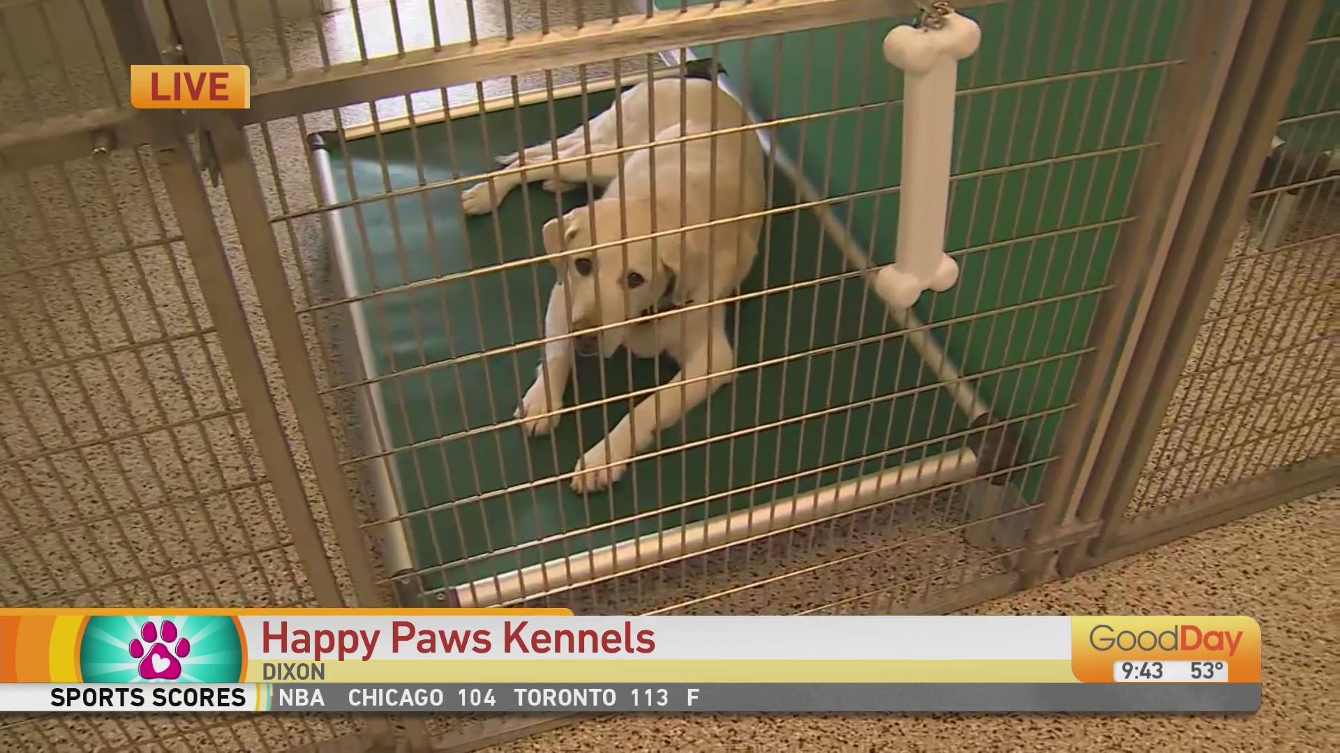 Paws kennels 2025