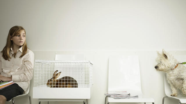 Teenage girl (14-14) sitting in vet waiting room, dog looking at rabbit in cage 