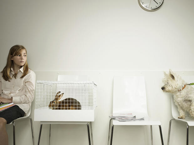 Teenage girl (14-14) sitting in vet waiting room, dog looking at rabbit in cage 