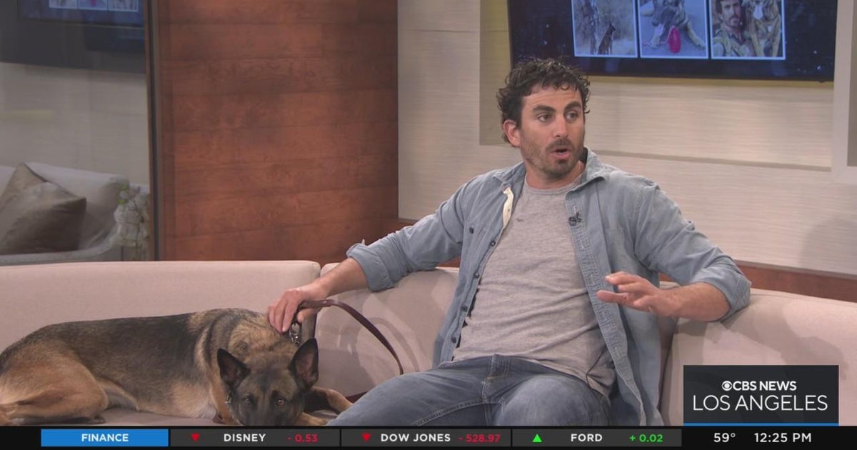 Justin melnick s mission to help military working dogs cbs los angeles