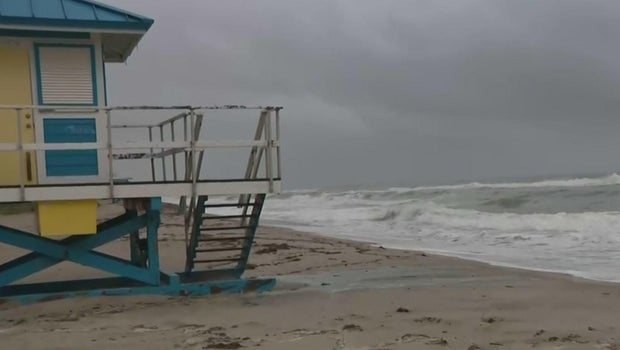 Man Seriously Injured in Shark Attack at Hollywood Beach, Florida