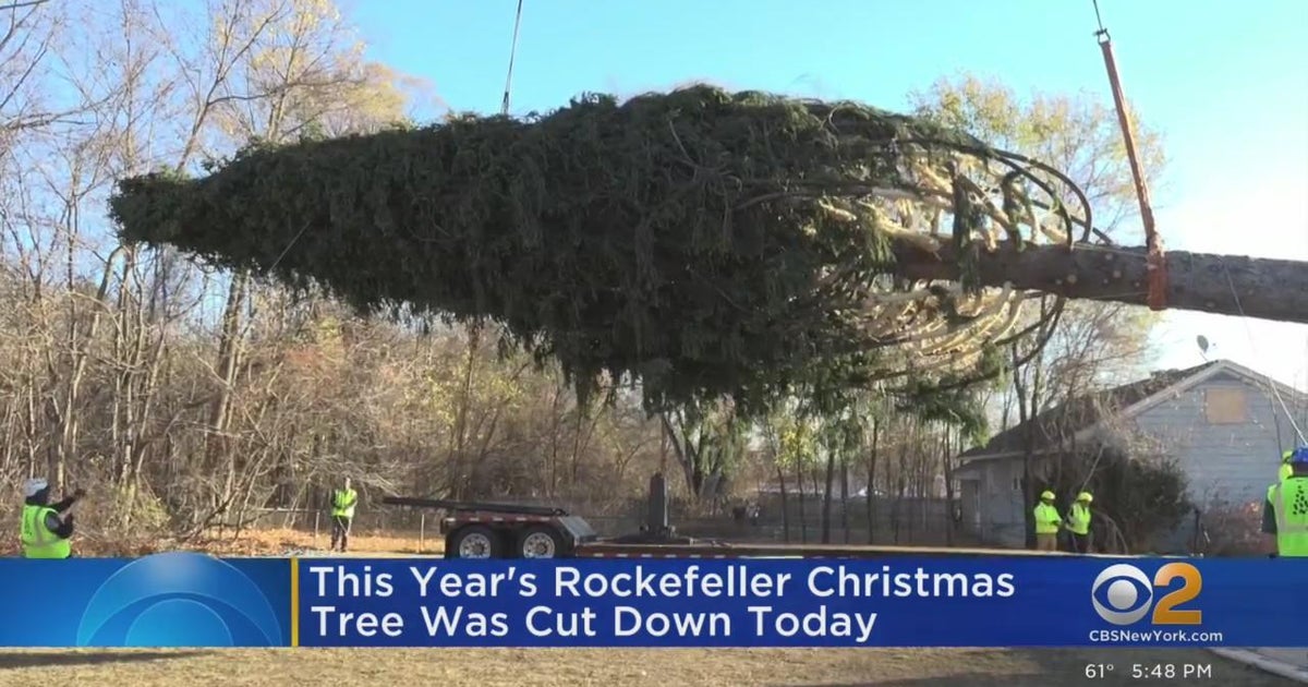 Rockefeller Center Christmas tree cut down upstate CBS New York