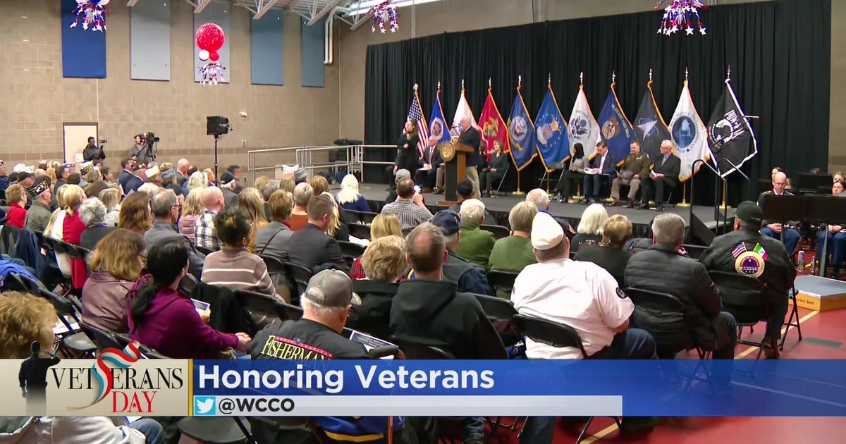 Lakeview veterans day parade