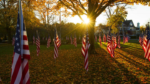American Flags in Public Park for Veterans Day 