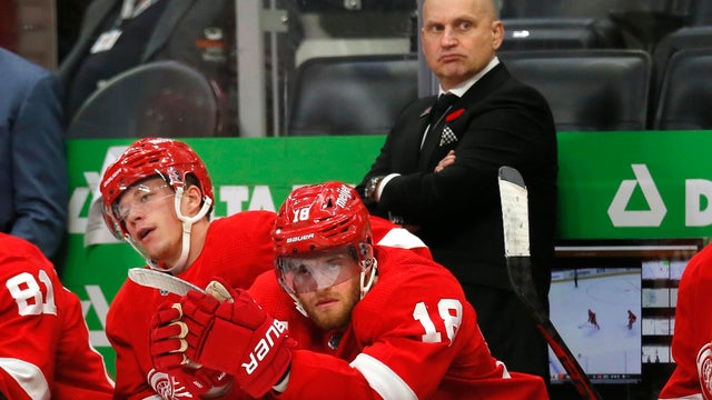 Rangers Red Wings Hockey 