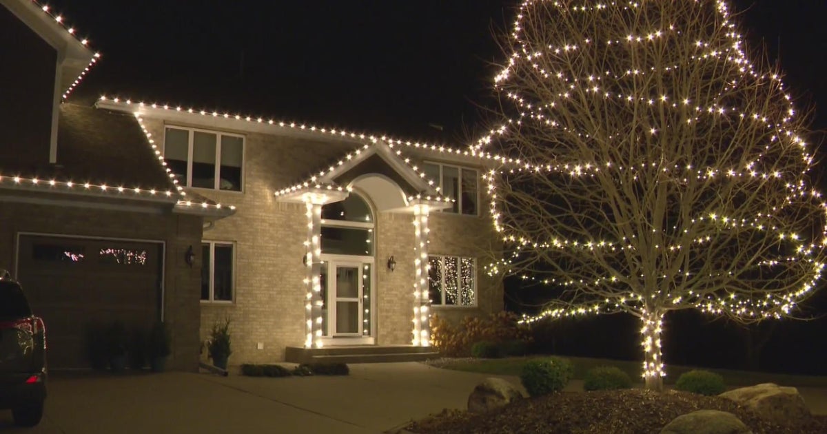 How to keep pests out of holiday lights CBS Minnesota